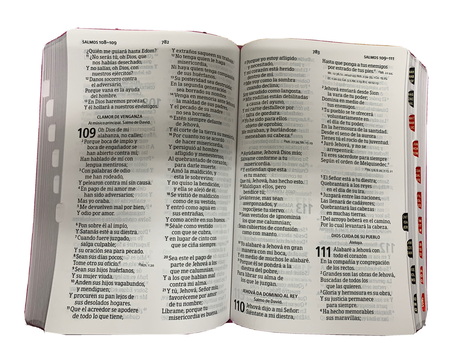 Biblia Letra Grande 12 puntos para Mujer con cierre RV1960 floral con indice
