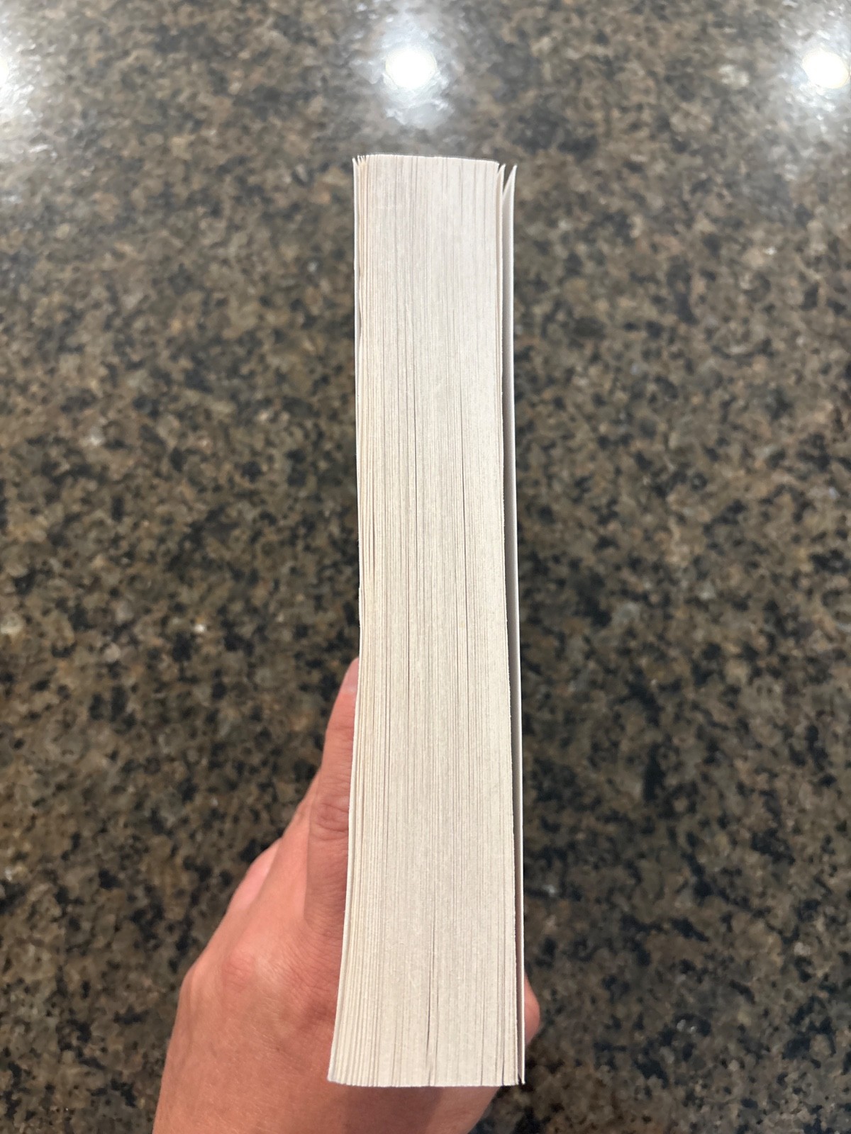 The Firm: A Novel (The Firm Series)