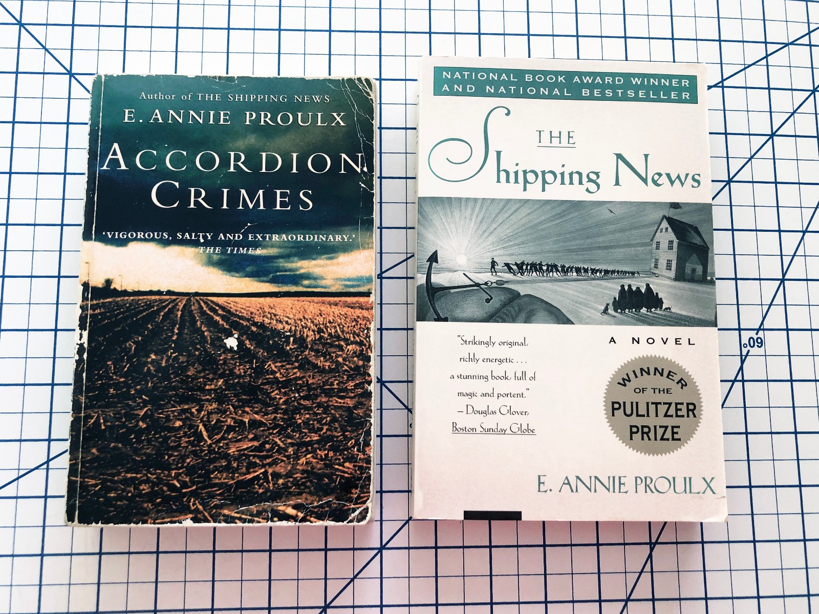 Lot of 2 by E. Annie Proulx: Accordion Crims, The Shipping News – Paperback