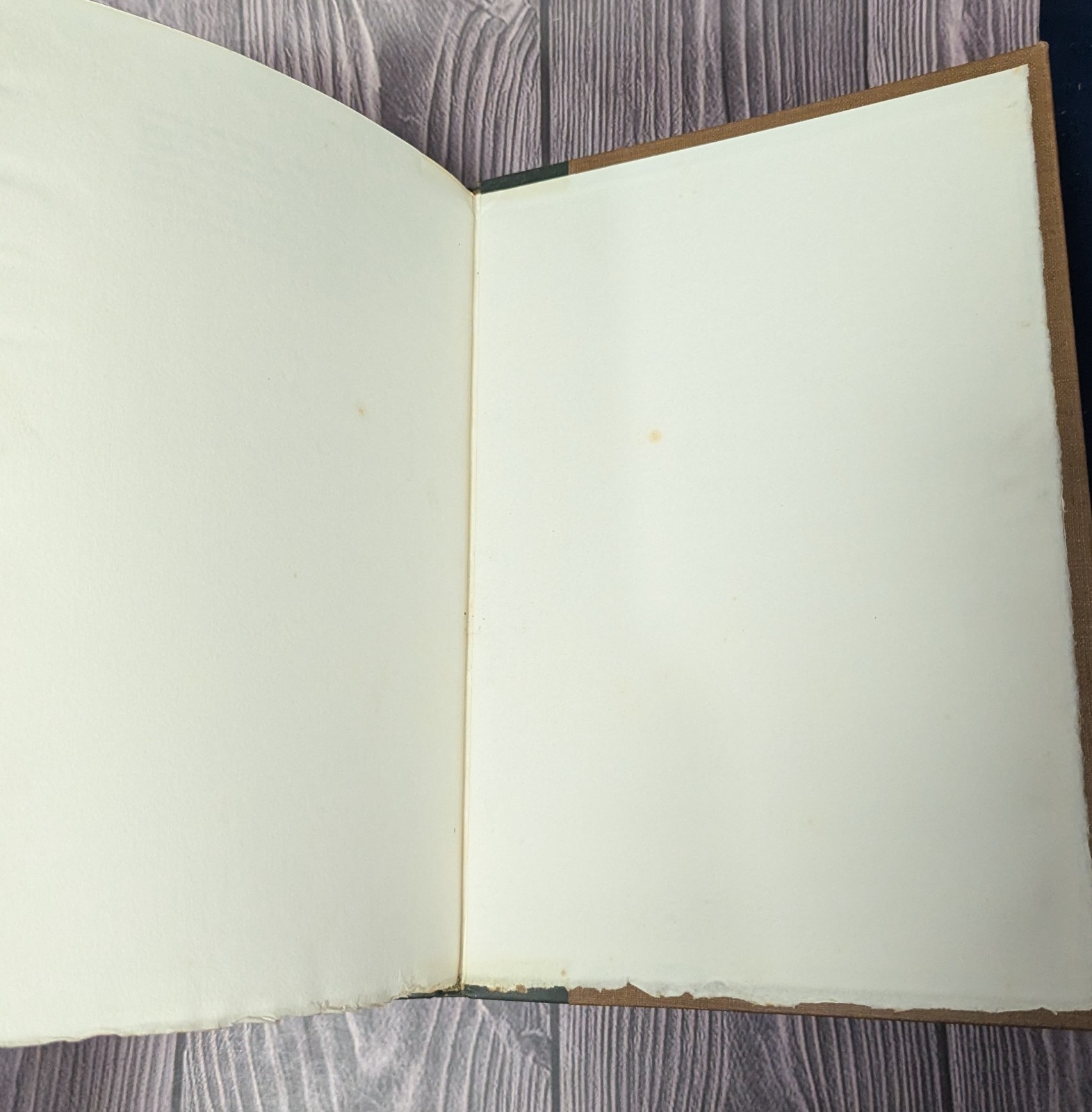 Golden Cockerel – Llewelyn Powys Book of Days – 1937 Zaehnsdorf Binding Ltd 300