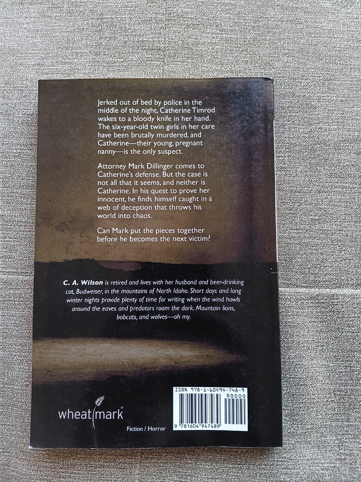 Cry for the Children by C. A. Wilson (2012, Trade Paperback)