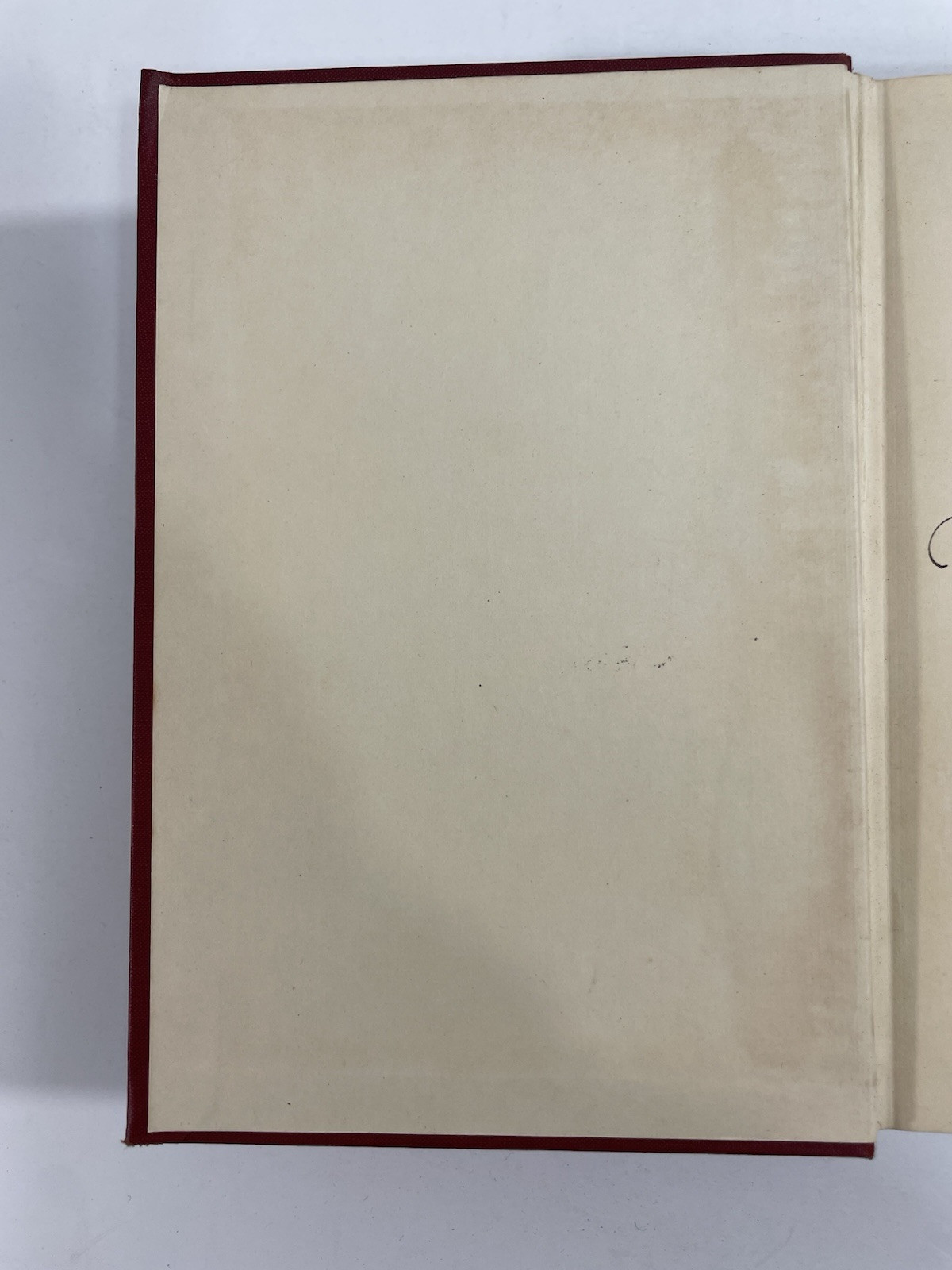 Paradise Esther Forbes 1937 Harcourt Brace and Company Hardcover