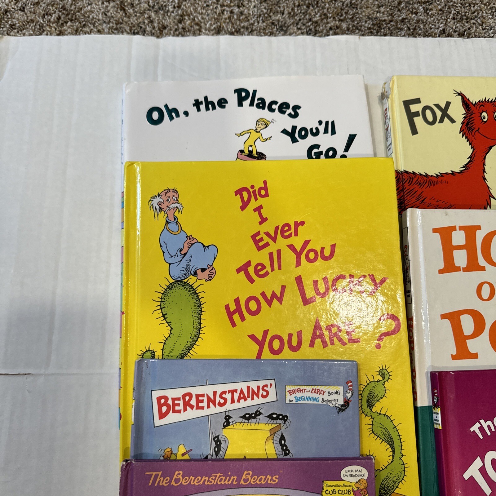 Berenstain Bears Dr Suess Lot Of 27 Hardcover Books Eastman Lopshire Palmer