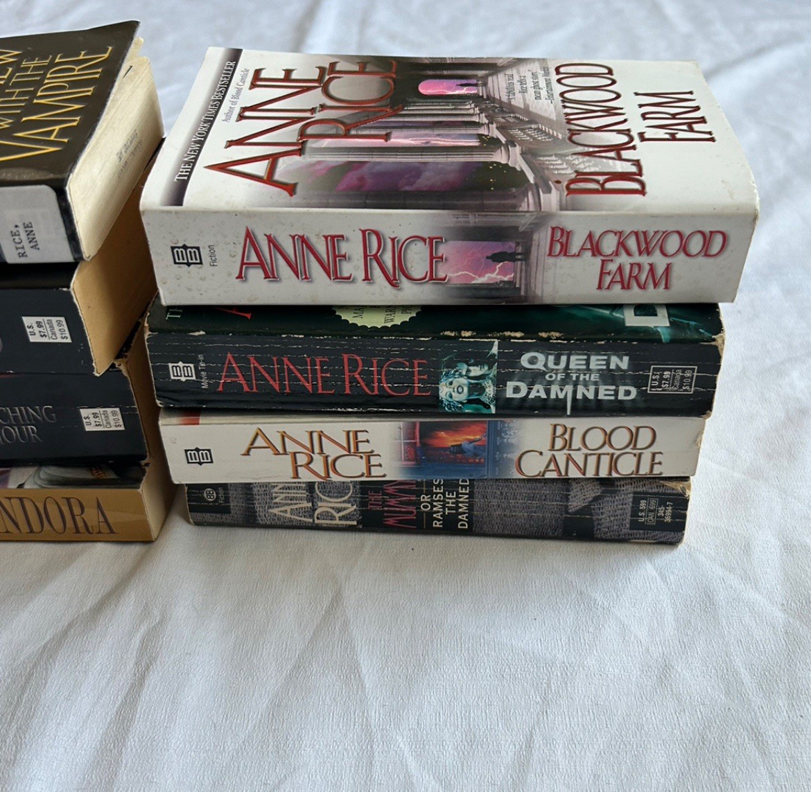 Lot of 8 Anne Rice Horror Fantasy Books Vampire Chronicles Witching Hour