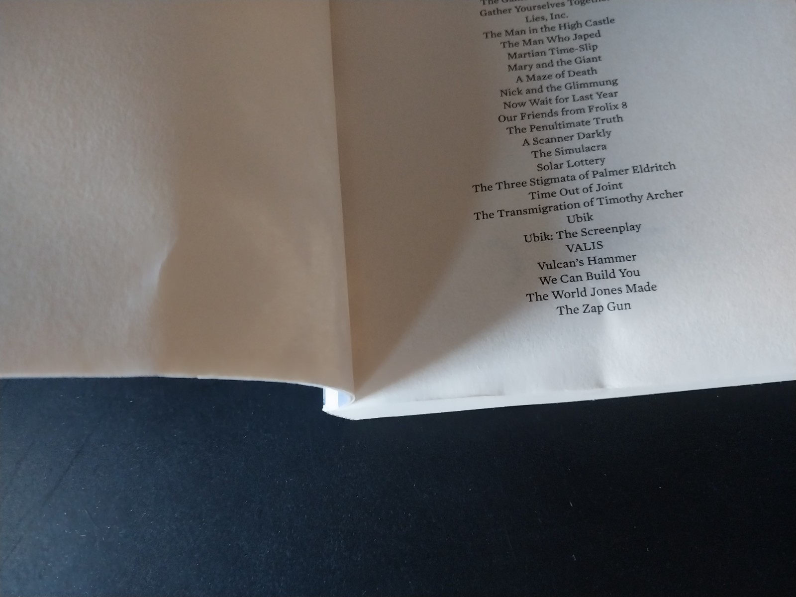 Philip K. Dick – A Scanner Darkly – Mariner Books 17th Printing