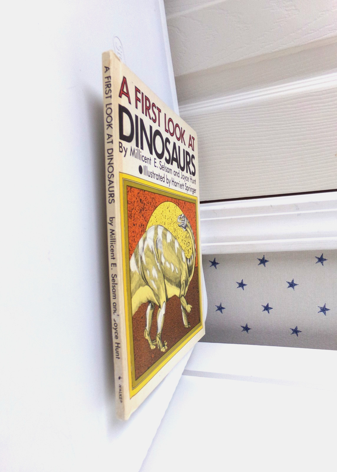 By Millicent E. Selsam A First Look at Dinosaurs Science Vtg Hardcover Book 1982