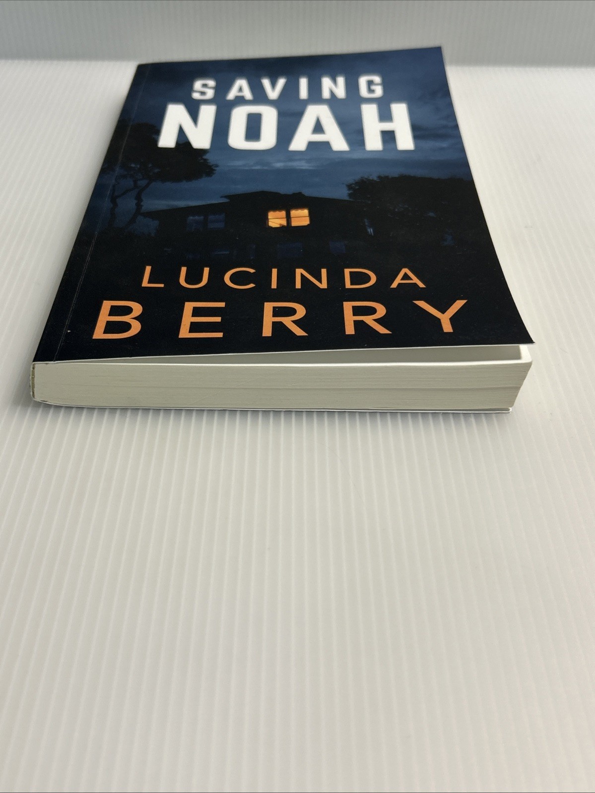 Saving Noah by Lucinda Berry Paperback 2017 Novel – Psychological Thriller NEW