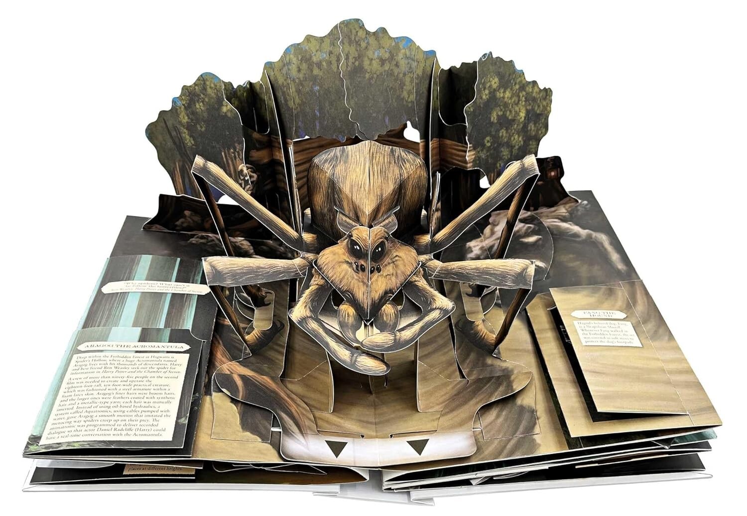Harry Potter: a Pop-Up Guide to the Creatures of the Wizarding World (Reinhart P