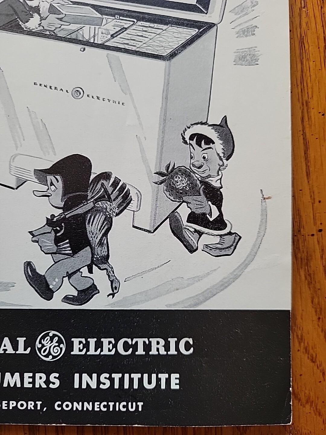 Vtg GE General Electric Consumers Institute Frozen Foods Guide To Prepare Cook