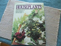 Colorful Houseplants by David Squire and Peter McHoy (1979,hardcover) gardening