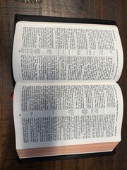 KJV TURQUOISE REFERENCE BIBLE, BLACK GOATSKIN LEATHER, RED-LETTE… Cambridge Bi