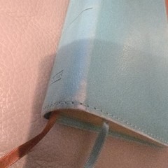 CSB Tony Evans Study Bible Teal/Earth LeatherTouch® Thumb Indexed