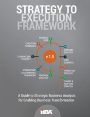 Strategy to Execution Framework version 1.5 by Iiba, Iiba, Like New Used, Fre…