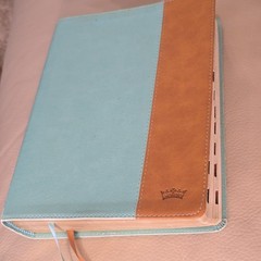 CSB Tony Evans Study Bible Teal/Earth LeatherTouch® Thumb Indexed