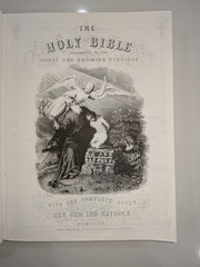 Douay-Rheims Catholic Bible | 2 Vol Set | Haydock Commentary | 1992 | Paperback