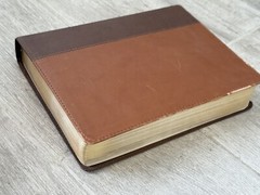 ✝️ Holman HCSB Life Essentials Study Bible Brown Two Tone LeatherTouch