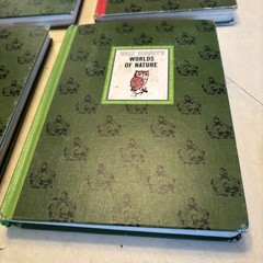 VTG The Wonderful Worlds of Walt Disney 4 Book Boxed Set Golden Press 1965 👑👑