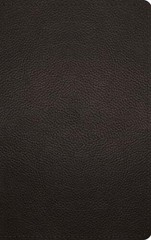 ESV Thinline Bible (Buffalo Leather, Deep Brown): New