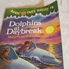 Magic Tree House #9 Dolphins at Daybreak PB Scholastic 1997 Osborne Illus