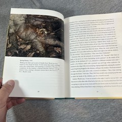 First Impressions ANDREW WYETH by Richard Meryman 1991 HC/DJ ART Awesome Cond.