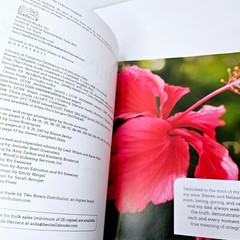 The China Study Cookbook LeAnne Campbell Wholefood Recipes Free Postage