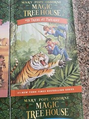 Magic Tree House Books 1 , 16 ~ 29 Boxed Set by Mary Pope Osborne GC # 701