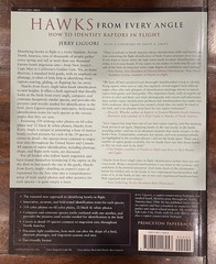 Hawks from Every Angle : How to Identify Raptors in Flight by Jerry Liguori
