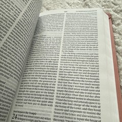 ESV Large Print Value Thinline Bible: Holy Bible, English Standard Version