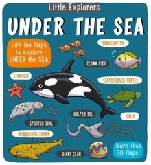 Little Explorers: Under the Sea – Little Bee Books, 9781499806953, hardcover