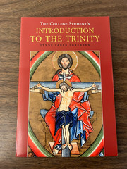 INTRODUCTION TO THE TRINITY (Catholic Theology, History) The Liturgical Press