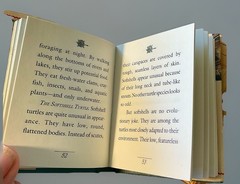 Turtles in Fact, Folklore, and Myth Hardback Book Pocket Size Richard Nicholls
