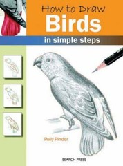 How to Draw Birds in Simple Steps By Polly Pinder