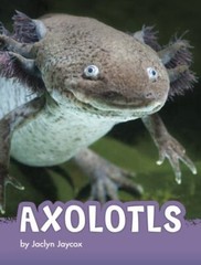 Axolotls by Jaclyn Jaycox NEW!