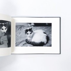 Sentimental Journey Spring Journey Limitd 900 – Nobuyoshi Araki Photo Book