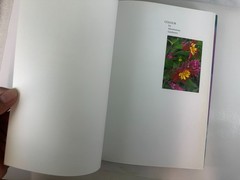 2-Book Bundle Christopher Lloyd Colour (2004) & Succession Planting (2007)