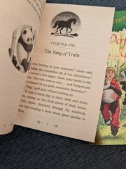 magic tree house books #48 #49 Stallion by Starlight a perfect time for pandas