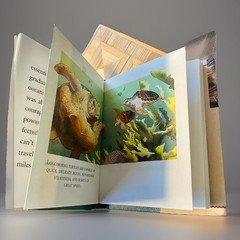 Turtles in Fact, Folklore, and Myth Hardback Book Pocket Size Richard Nicholls
