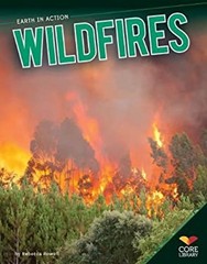 Wildfires Library Binding Rebecca Rowell