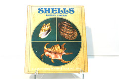 Vintage Shells Roderick Cameron 1972 Octopus HC Illustrated Sea Shell Ref Book