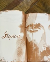 SNAPSHOTS OF THE SAVIOR By Ed Young Journal. SEE DESCRIPTION