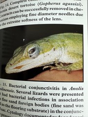 The Biology Husbandry and Health Care of Reptiles Vols. 1, 2 & 3 HC/DJ – VGC