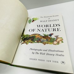The Wonderful Worlds of Walt Disney 4 Book Boxed Set Golden Press Vintage 1965