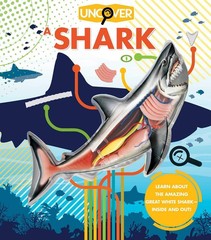 Uncover a Shark