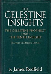 The Celestine Insights : The Celestine Prophecy and the 10th Insi