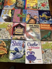 Lot of 20 Rigby Literacy Levels 15-17 Readers-Homeschool