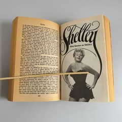 Shelley Also Known as Shirley Winters 1981 8th Printing Autobiography Ballantine