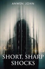Short, Sharp Shocks by Anwen John Paperback Book