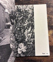 Flow Magazine Special Edition Issue “Calm Down” Paperbook in Dutch Language
