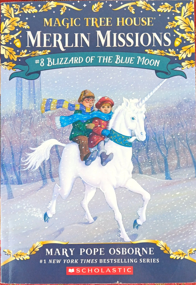 Magic Tree House Merlin Missions Choose Title