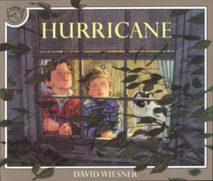 Hurricane – Paperback By Wiesner, David – GOOD